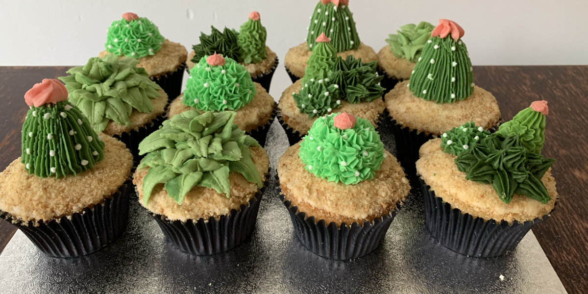 3d cactus cupcakes oxford
