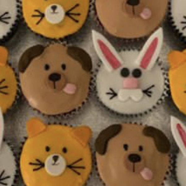 Animal face flat iced cupcakes