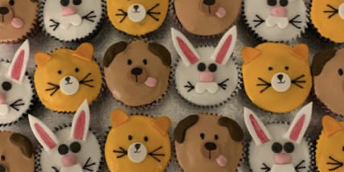 Animal face flat iced cupcakes